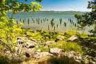 Washington State, Megler. Astoria Bridge. Columbia River. Seaweed covered piling, rocky beach. Art Print